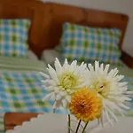 Gæstehus Haus Dachstein Schnitzer *