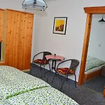 Pensjonat Haus Dachstein Schnitzer *