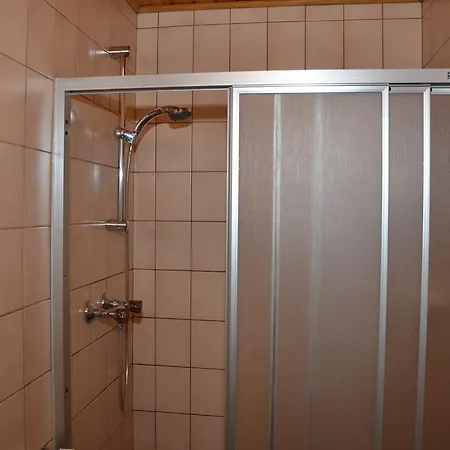 Haus Dachstein Schnitzer *