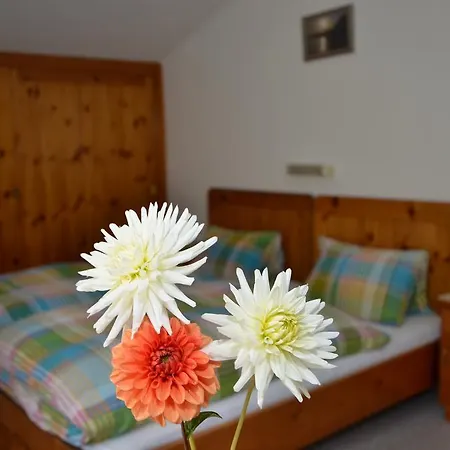 Haus Dachstein Schnitzer * Eben Im Pongau