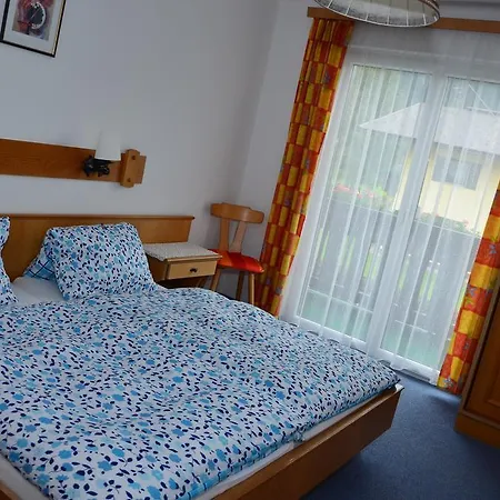 Guest house Haus Dachstein Schnitzer *