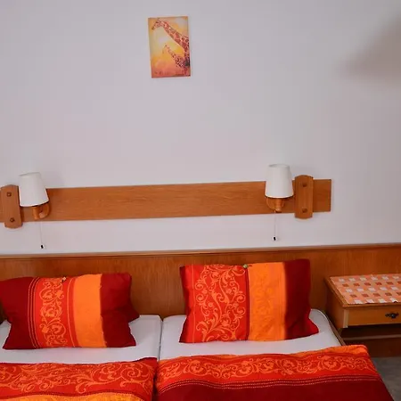 Haus Dachstein Schnitzer *