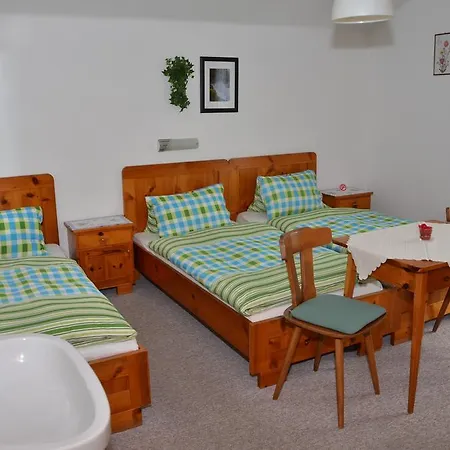 Guest house Haus Dachstein Schnitzer