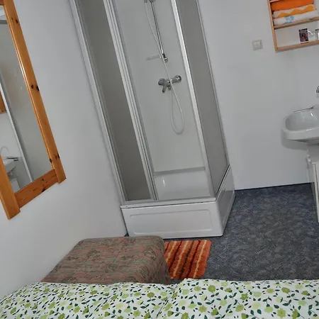 Haus Dachstein Schnitzer Guest house *