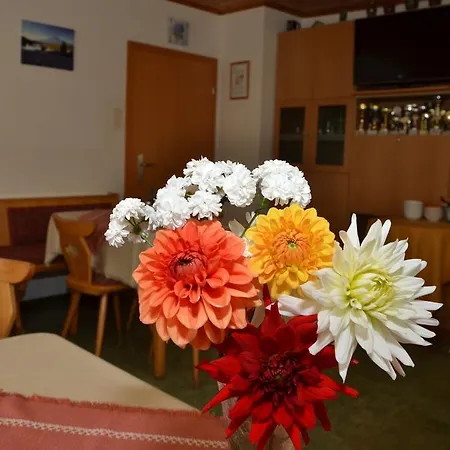 Guest house Haus Dachstein Schnitzer Eben Im Pongau