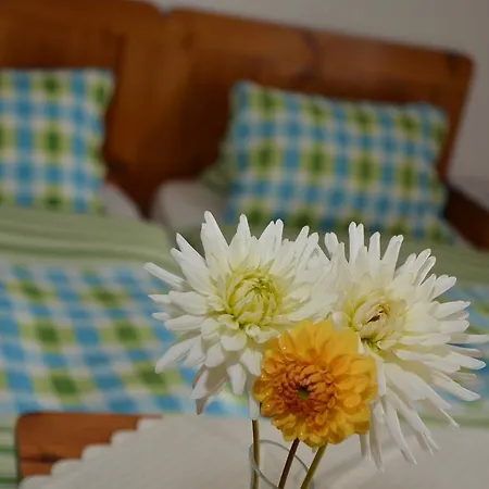 Konukevi Haus Dachstein Schnitzer *