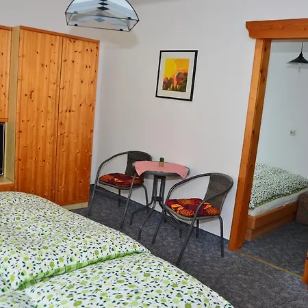 Guest house Haus Dachstein Schnitzer *