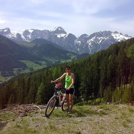 Haus Dachstein Schnitzer *