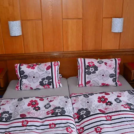 Haus Dachstein Schnitzer *