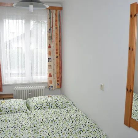 Haus Dachstein Schnitzer *