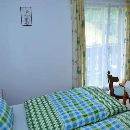 Guest house Haus Dachstein Schnitzer *