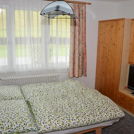 ゲストハウス Haus Dachstein Schnitzer エーベン・イム・ポンガウ