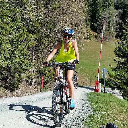 Konukevi Haus Dachstein Schnitzer *