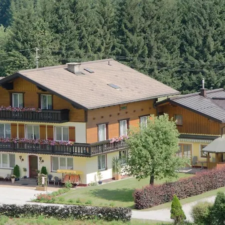 Haus Dachstein Schnitzer Guest house Eben Im Pongau